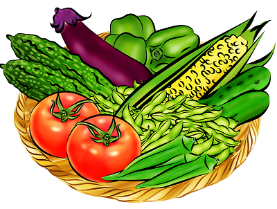 野菜定期便、野菜サブスク、冷凍宅配弁当、食事宅配